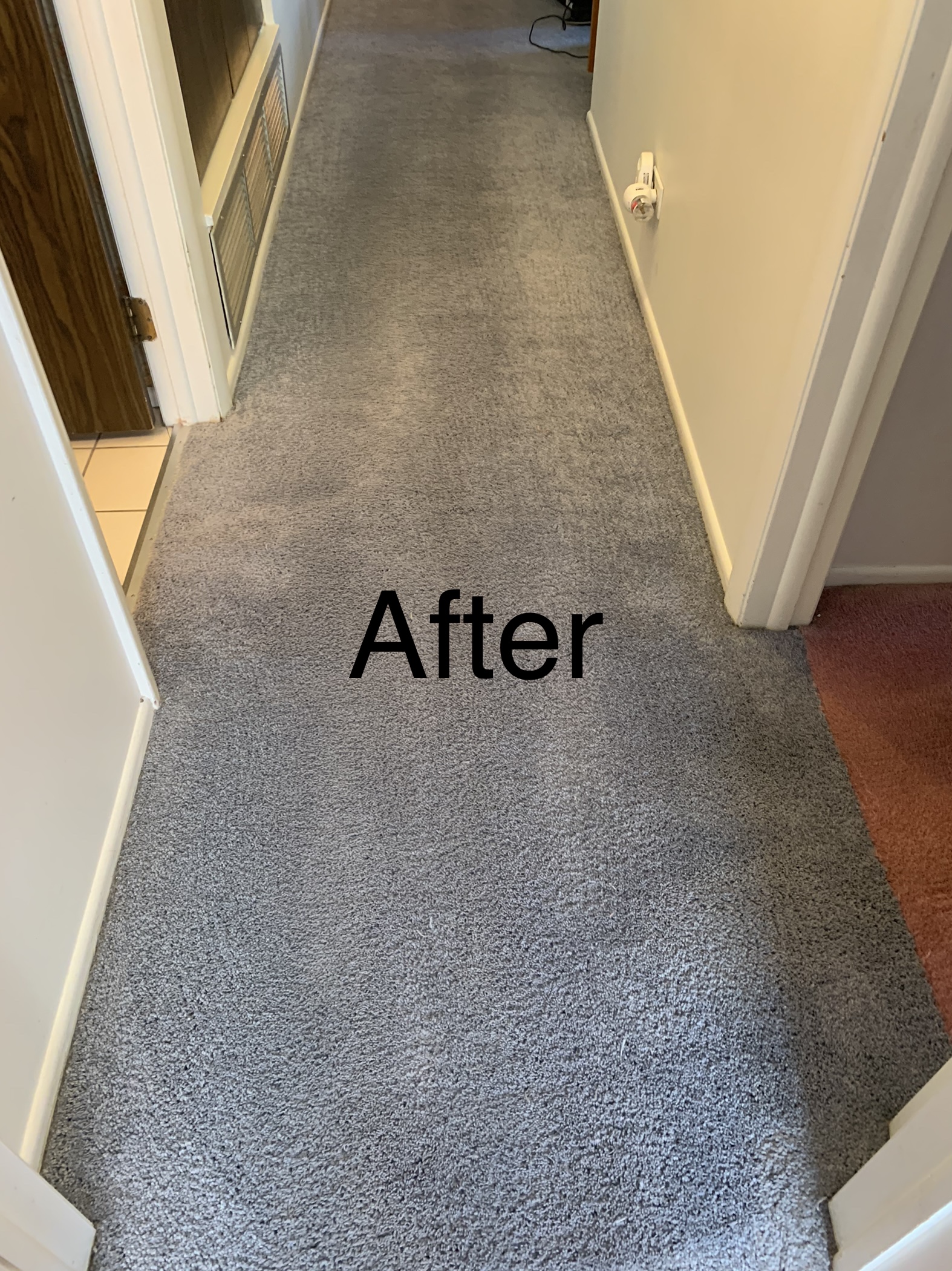 Carpet Cleaning in Wheeling Illinois by Classic Touch Floor Care
