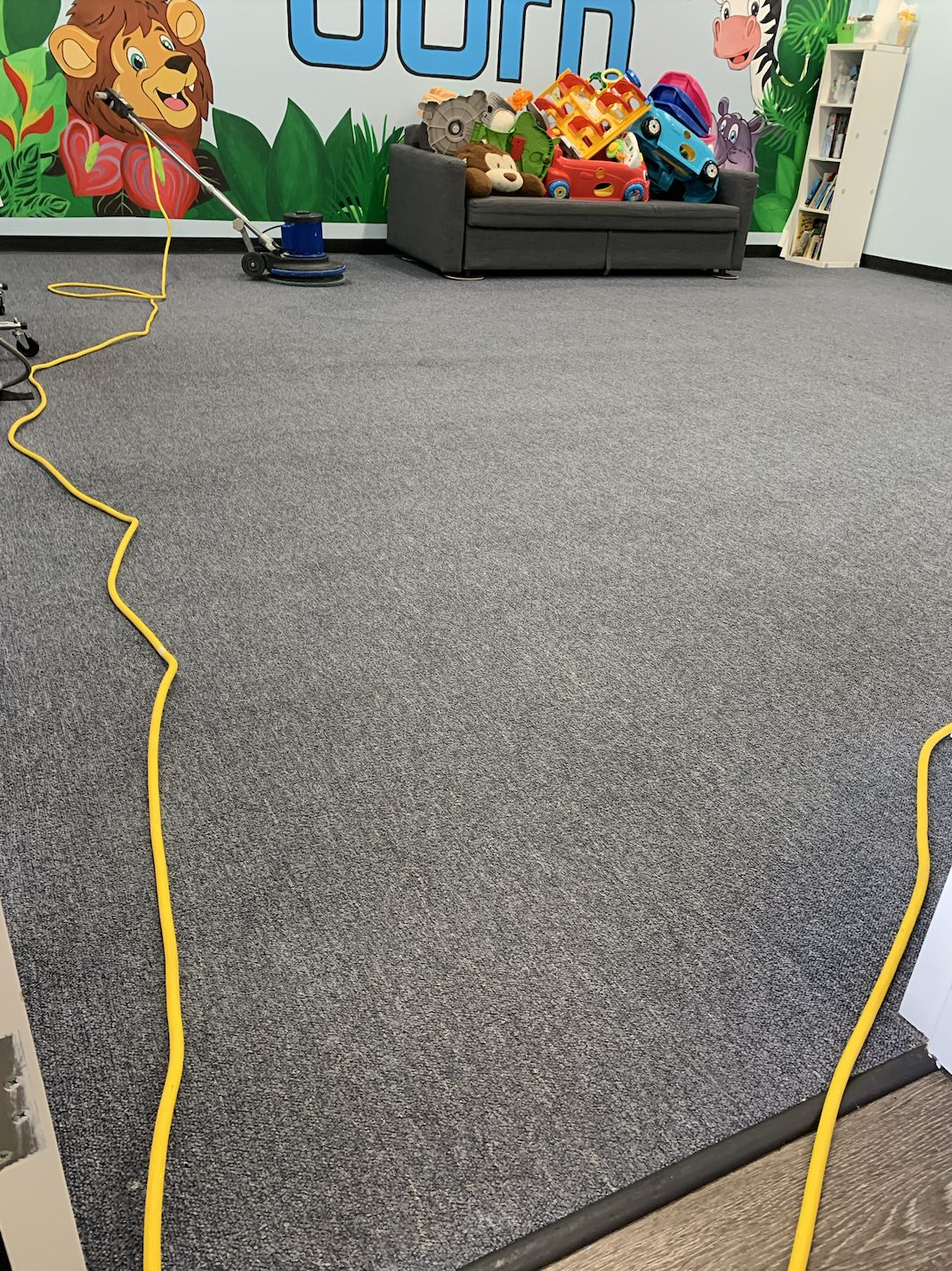Commercial Carpet Cleaning in Lake Zurich by Classic Touch Floor Care