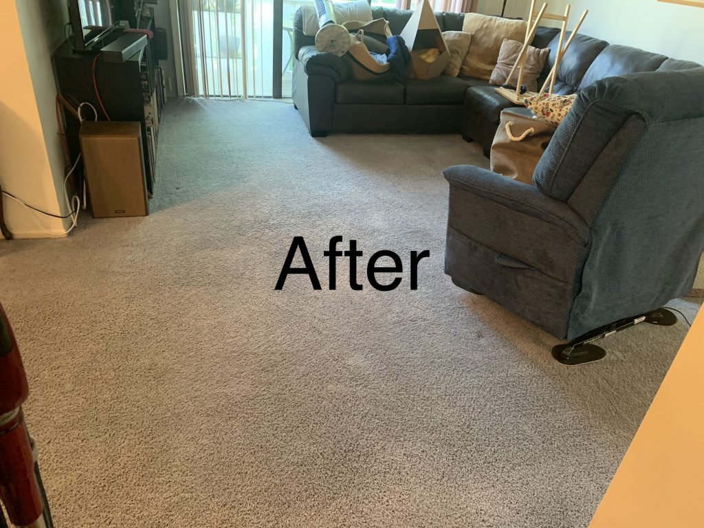 Pet Odor Removal in Wheeling by Classic Touch Floor Care